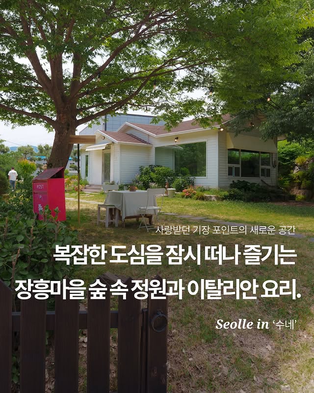 수네 대표 사진